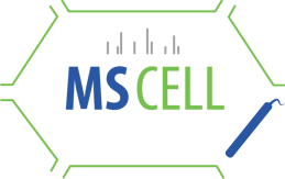 MSCELL - logo rodape